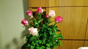 Lovely roses at the Wesley Hospital from my old workmates 